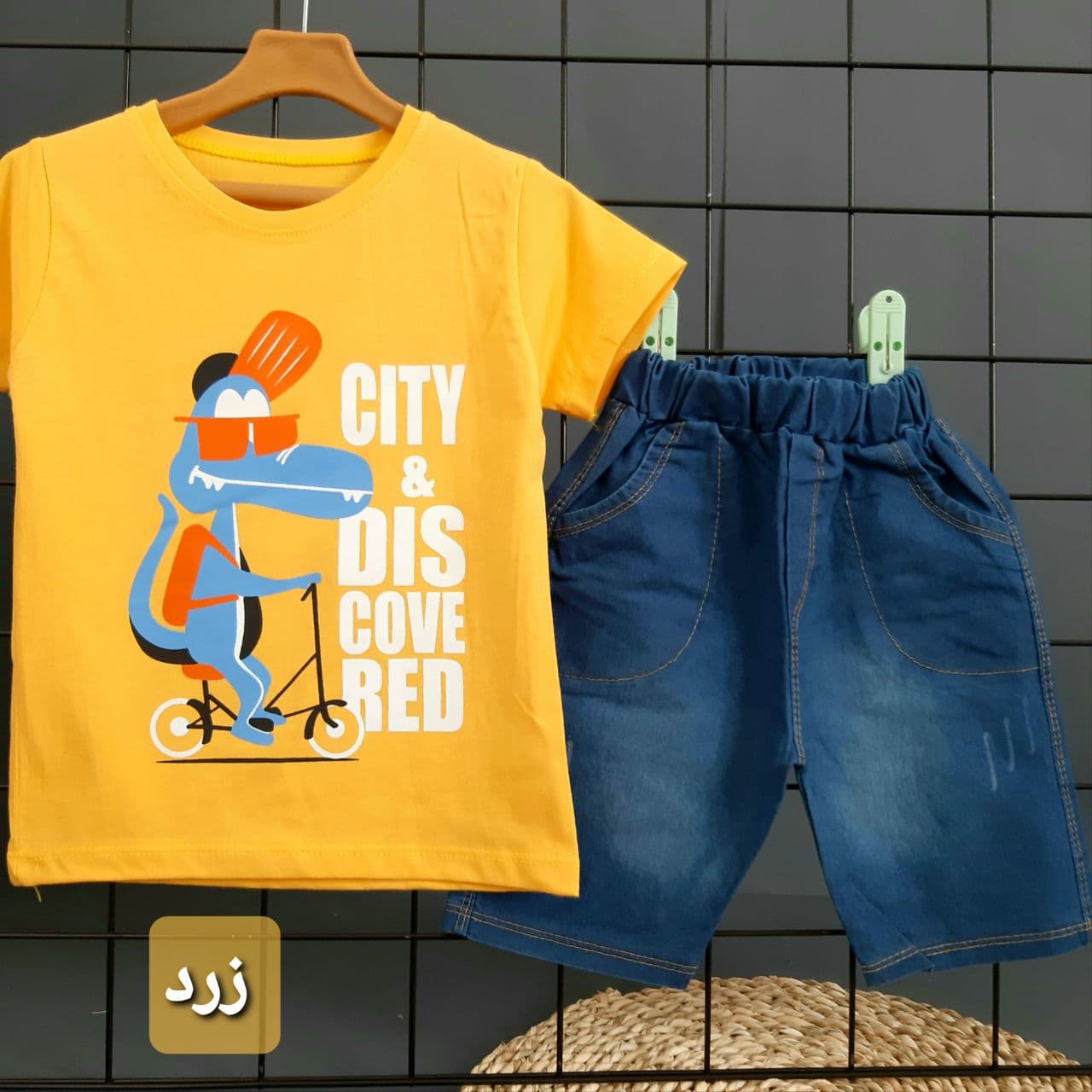 عکس ست تمساح بیرونی - شماره 3