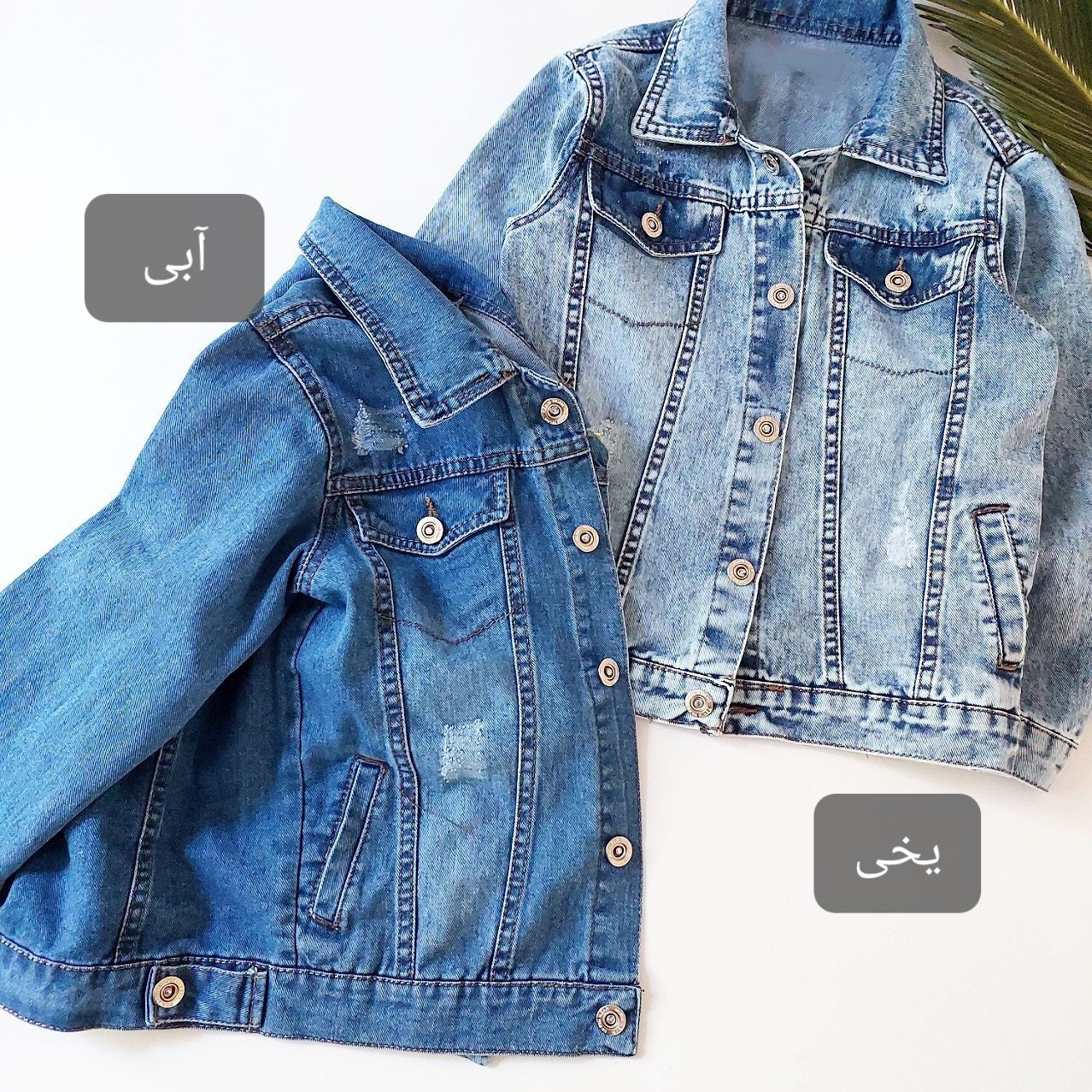 عکس کت جین اسپرت - شماره 7