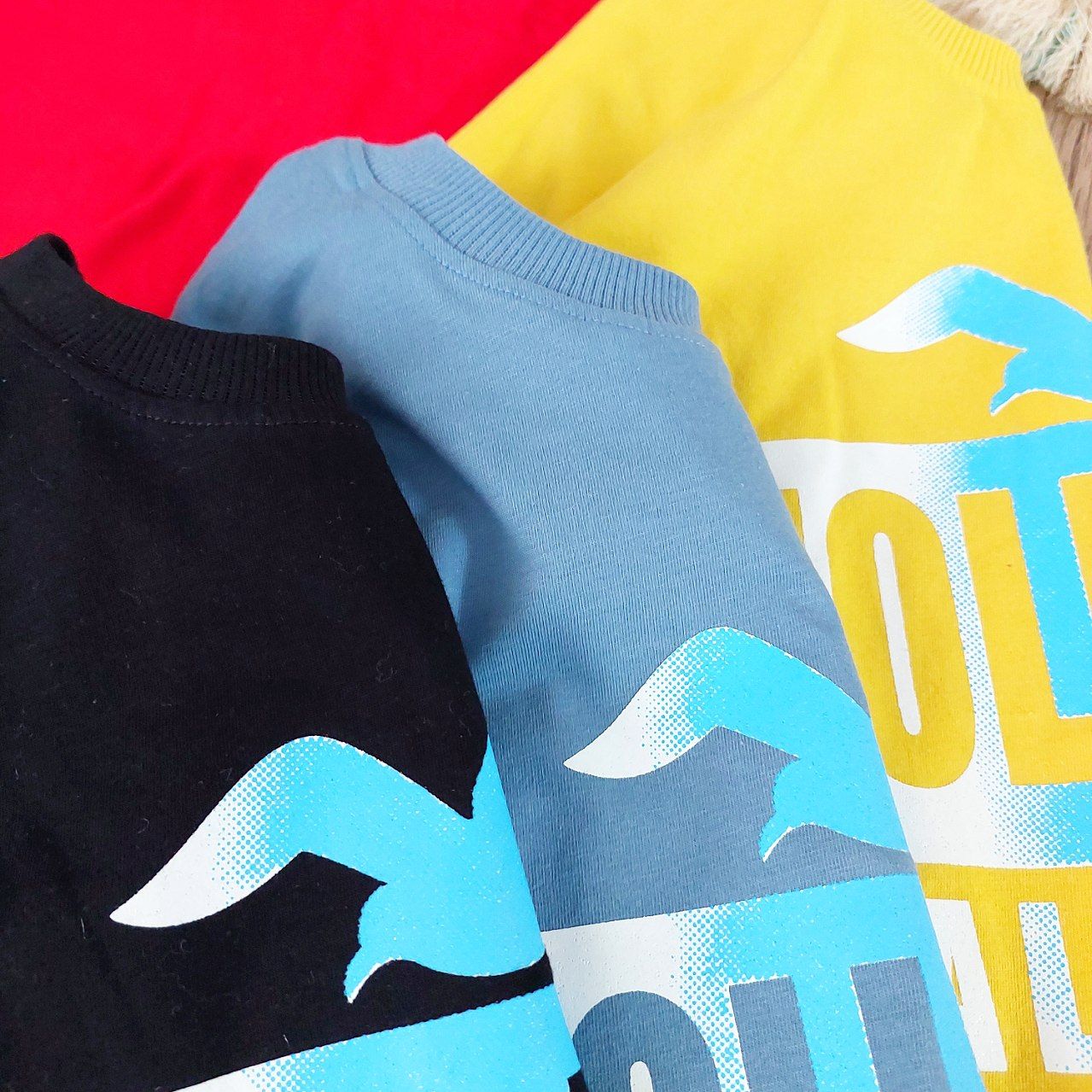 عکس ست HOLLISTER - شماره 6